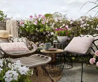 jardim de varanda com recipientes plantados com pelargoniums