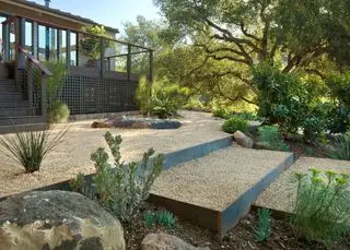 Marches gravillonnées dans une cour avant en pente avec arbres et buissons verts.
