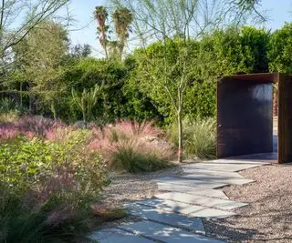 cour avant avec chemin de gravier et plantes résistantes à la sécheresse