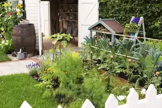 Construisez un mini treillis de potager pour soutenir les cultures à faible croissance