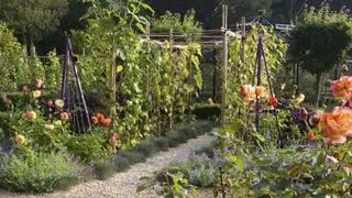 Idées de treillis de potager, y compris une passerelle et des obélisques
