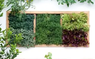 Créez une jardinière verticale pour salades et fines herbes