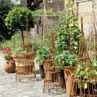 Plantes en pot et obélisques tissés dans le jardin patio