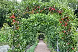 Arche de pomme rouge et verte au-dessus d'une passerelle en pierre menant à une porte