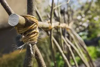 Gros plan d'un treillis en bois fait main attaché avec de la ficelle dans un jardin