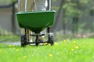 „Oszczędzaj czas i pieniądze” – dlaczego eksperci mówią, aby nie używać chwastów i nie karmić trawnika w środku lata