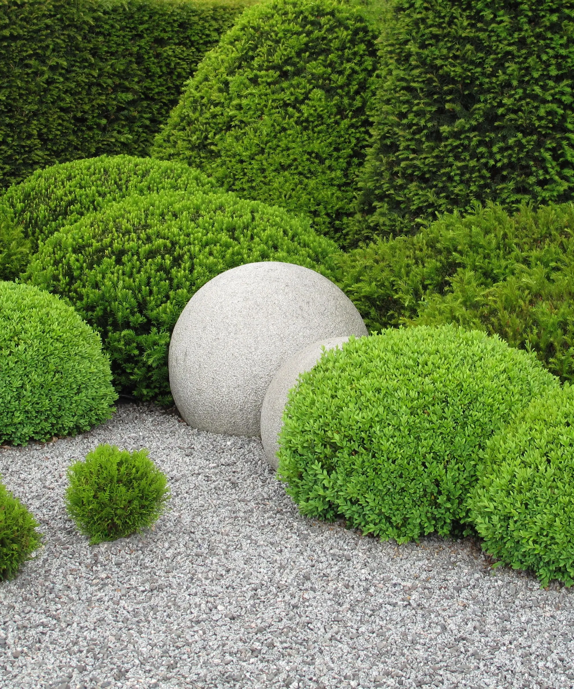 Coníferas en un jardín.' loading='lazy' title=