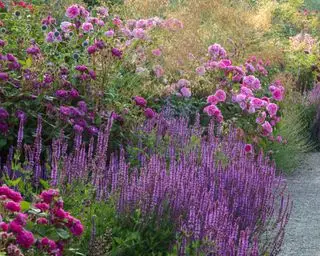 Záhradný okraj s ružami