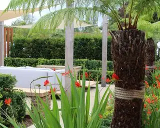 Nádvorie s výraznými škvrnami oranžovej Crocosmia