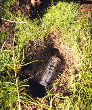 Indstilling af muldvarpefælden