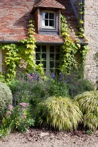 Meilleur grimpeur – houblon doré