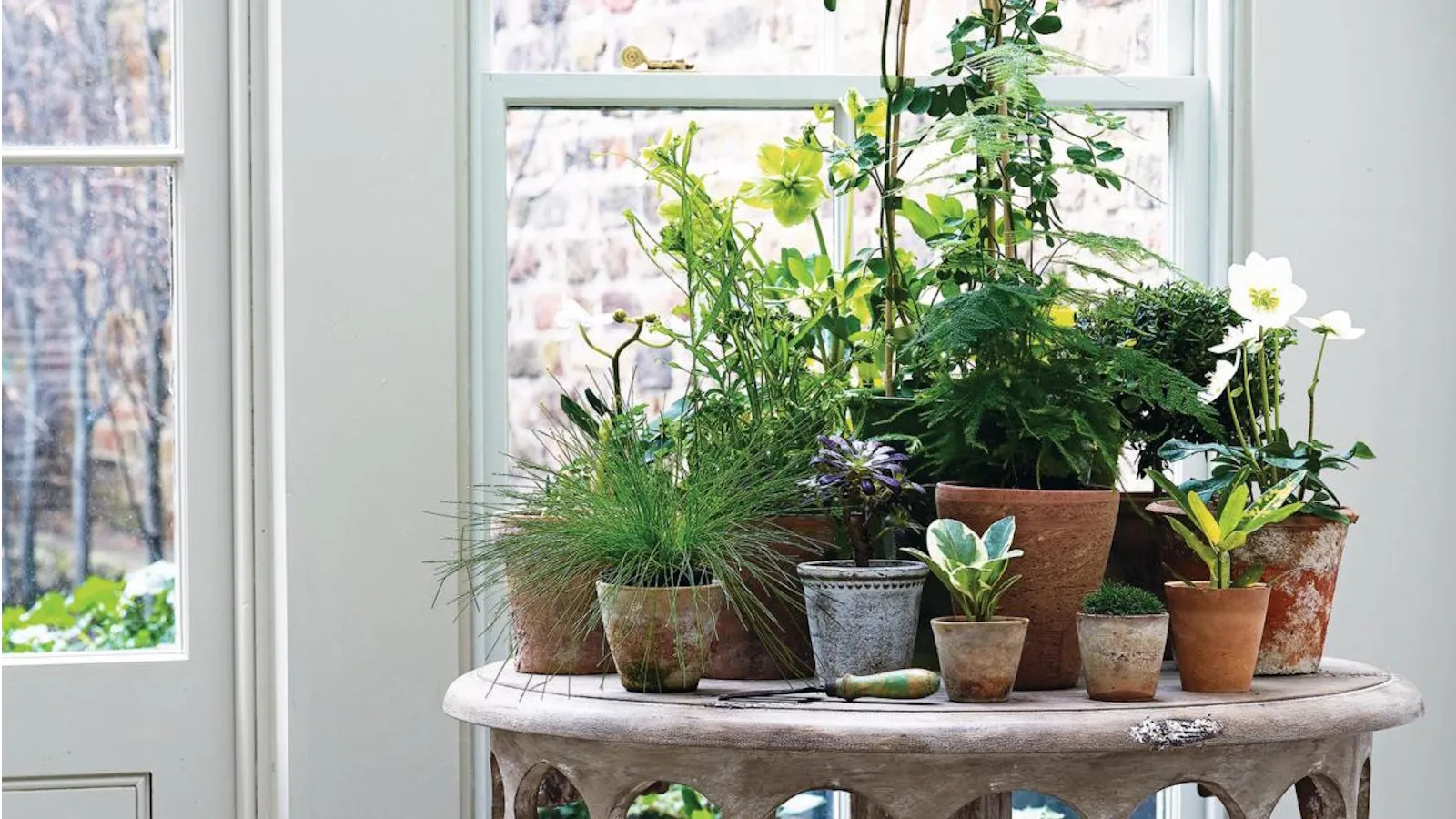 Izbové rastliny na stole' loading='lazy' title=