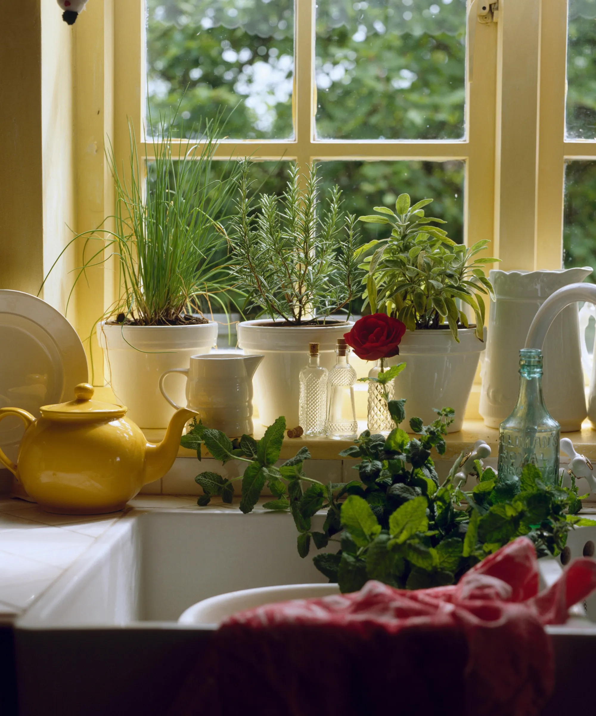 Vnútorná bylinková záhrada' loading='lazy' title=