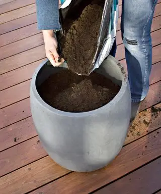 Remplir une grande jardinière de compost