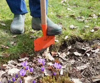 délimiter un parterre de fleurs avec une bêche