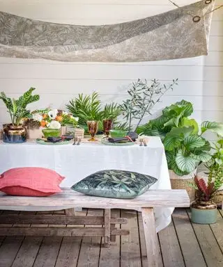 벤치 좌석과 쿠션이 있는 테이블을 둘러싸고 녹색 식물이 있는 야외 식사 공간을 보여주는 야외 식사 아이디어의 예