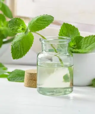 שמן מנטה על שולחן