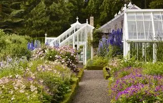 Trois serres entourant un chalet, avec des fleurs roses et de grands delphiniums.