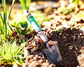 truelle dans la terre du jardin
