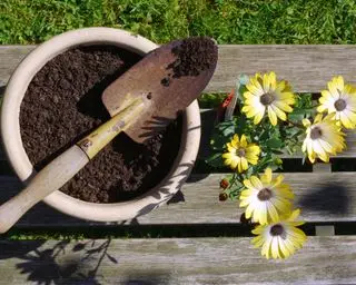 Comment tester le pH du sol – la science expliquée aux débutants