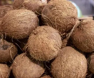 Une pile de noix de coco