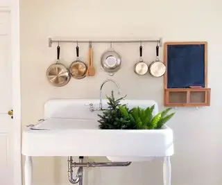 Plantes arrosées par le bas dans un évier de cuisine