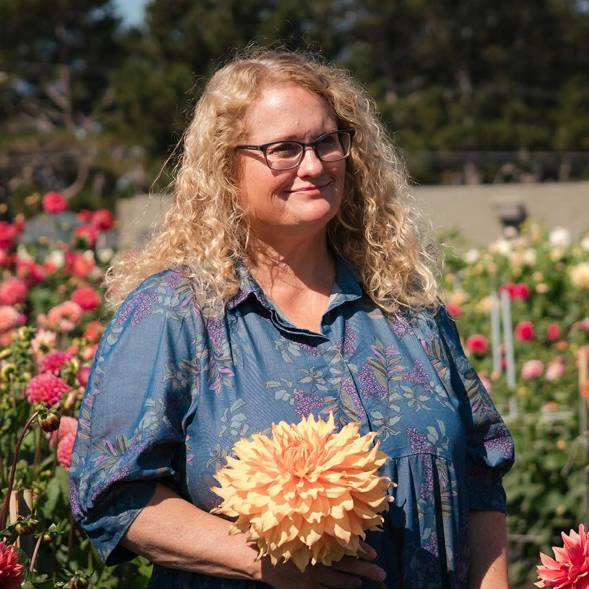 Shelly Deaton hovedskud' loading='lazy' title=