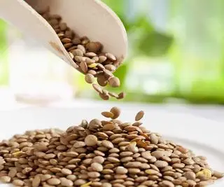Uma colheita de lentilhas num prato com uma colher de pau