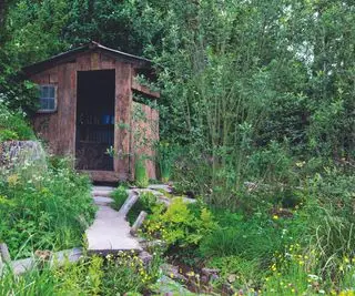 Qual é o movimento anti-gramado? Opiniões de especialistas e como você pode participar da mudança