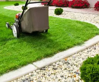 Rasenmäher auf einem Rasen