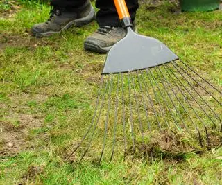 芝生を怖がらせる
