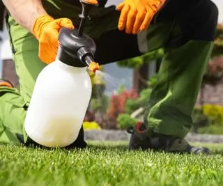 草の上に向けた除草剤またはコケキラーのスプレーボトル