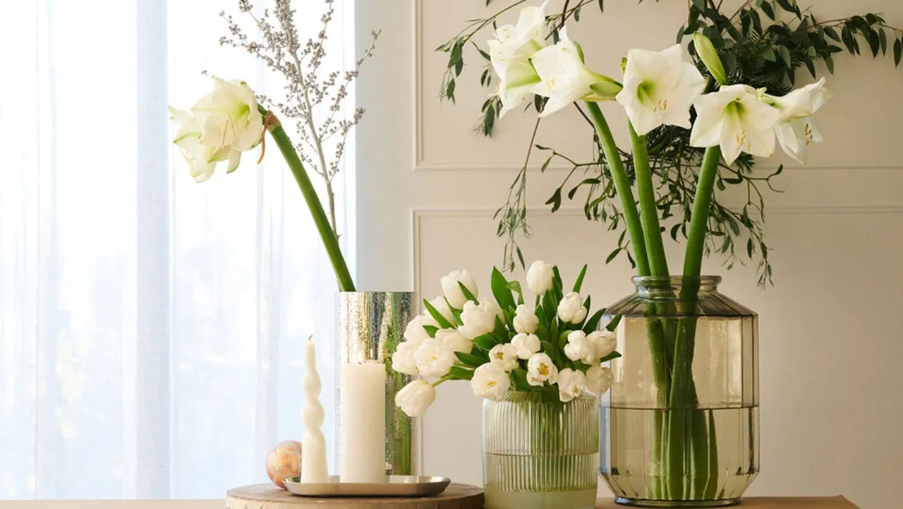 テーブルの上に葉が置かれた花瓶に並べられた白いアマリリスと白いチューリップの選択' loading='lazy' title=