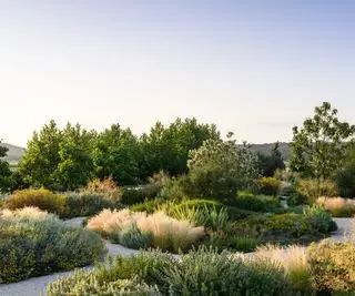 Gartengestaltung in Pistoia von Adam Hunt