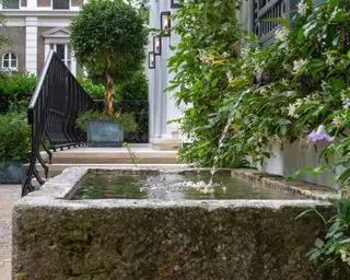 Ein Beispiel für Gartenideen mit einem Wasserspiel, das einen von Blättern umgebenen Steintrog zeigt