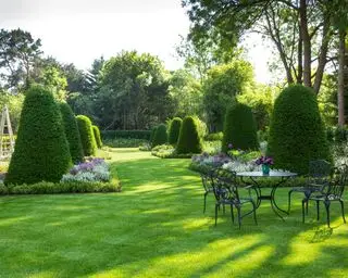Gartenideen mit gepflegtem Rasen und geformten Hecken im Sommer