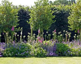 Garten mit langer Grenze