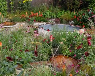 Sinnesgartendesign von Naomi Ferrett-Cohen