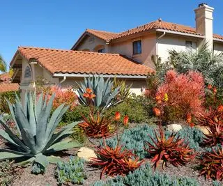 Aménagement paysager californien résistant à la sécheresse