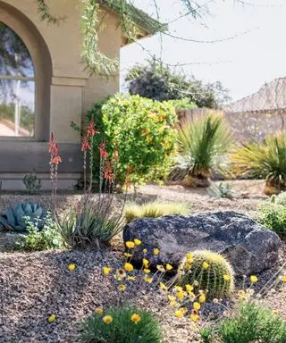 cour avant résistante à la sécheresse avec des rochers