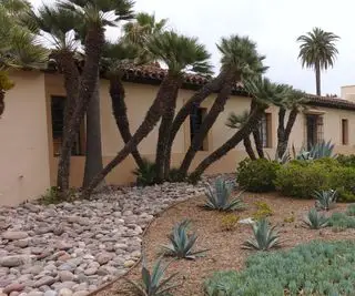 cour avant avec aménagement paysager de roches de rivière et arbres