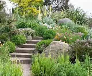 rochers et plantes avec marches dans un jardin paysager