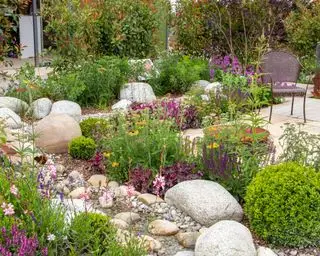 aménagement paysager avec des roches et des plantes dans un jardin de style méditerranéen