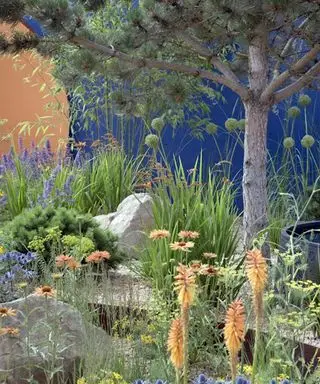 Idées d'aménagement paysager en pierre dans la cour avant – 10 façons accrocheuses d'introduire des pierres et des rochers dans votre espace