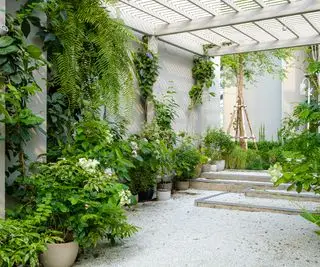 terrasse couverte par pergola avec gravier blanc et plantation tropicale