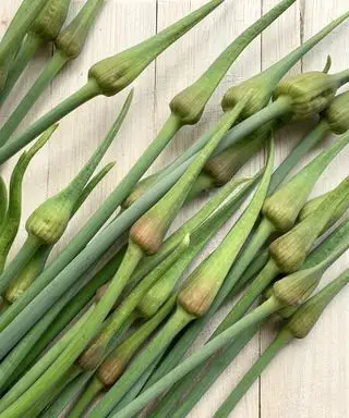 Fleurs d'ail d'éléphant