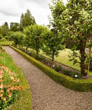Lange Gartenideen mit einem Kiesweg, gesäumt von niedrigen Buchshecken und kleinen Obstbäumen.