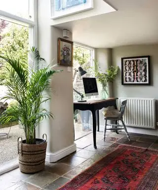 grande plante de palmier en éventail dans la fenêtre à côté du bureau à domicile