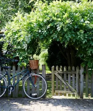 Portão tradicional mostrado ao lado de uma bicicleta, levando a um jardim arborizado