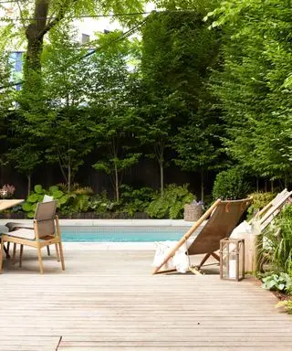 James DeSantis Gartenrenovierungstipps von Backyard Envy, Stadtgarten, entworfen von den Manscapers